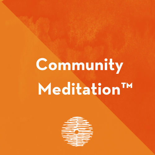 Our Signature Program: Community Meditation™