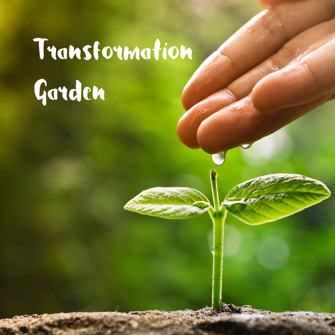 Transformation Garden