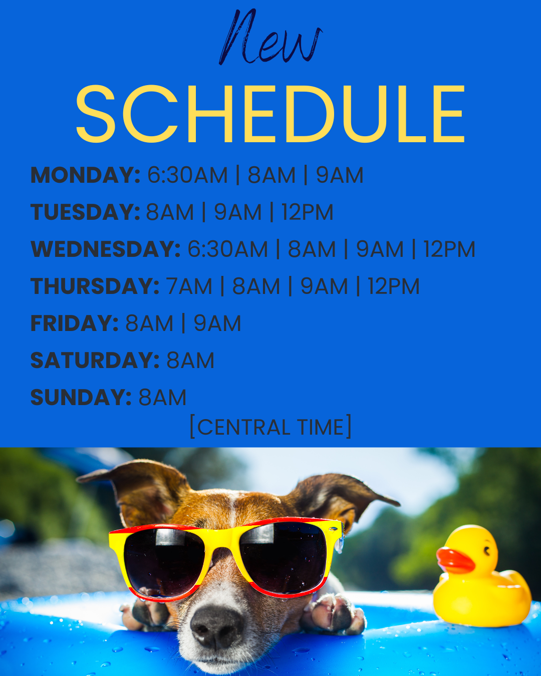 Current Schedule